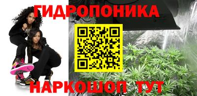 MDMA Новозыбков