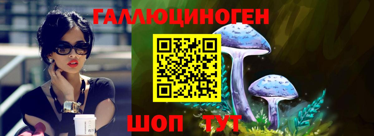 Тавда  Галлюциногенные грибы GOLDEN TEACHER  Вход с VPN 